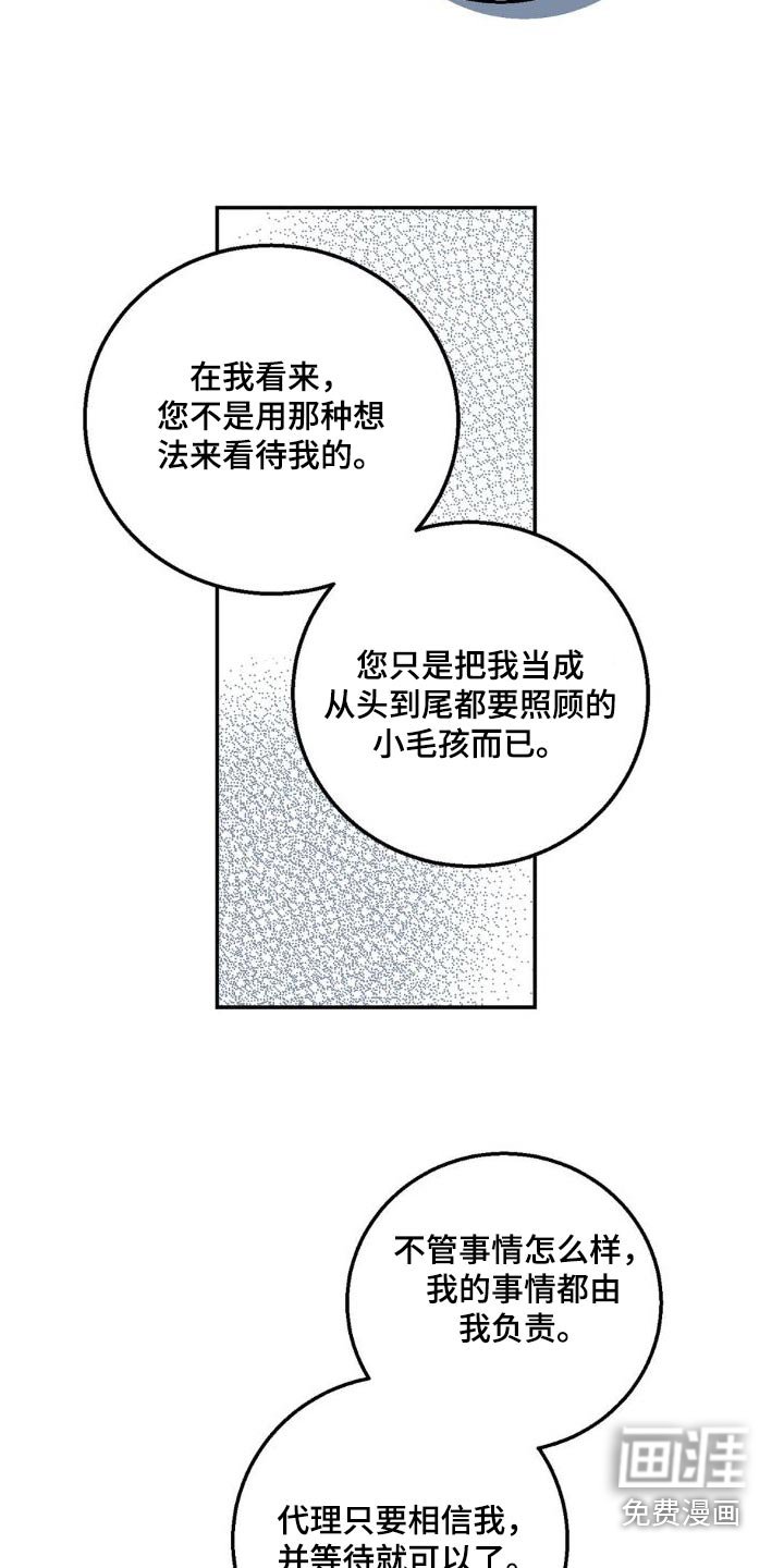 第26章：理解