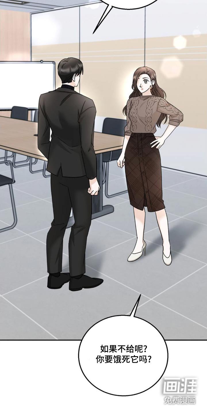 第26章：理解