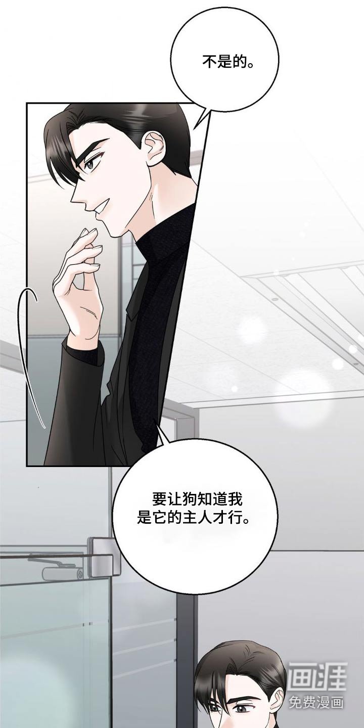 第26章：理解