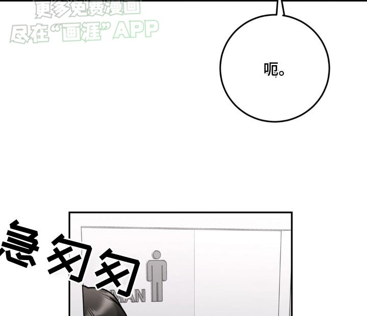 第37章：到底为什么
