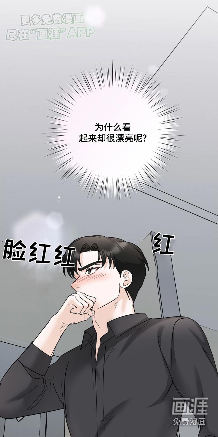 第37章：到底为什么