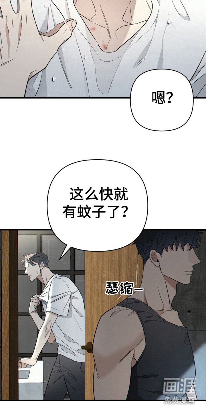 第5章：多亏了哥