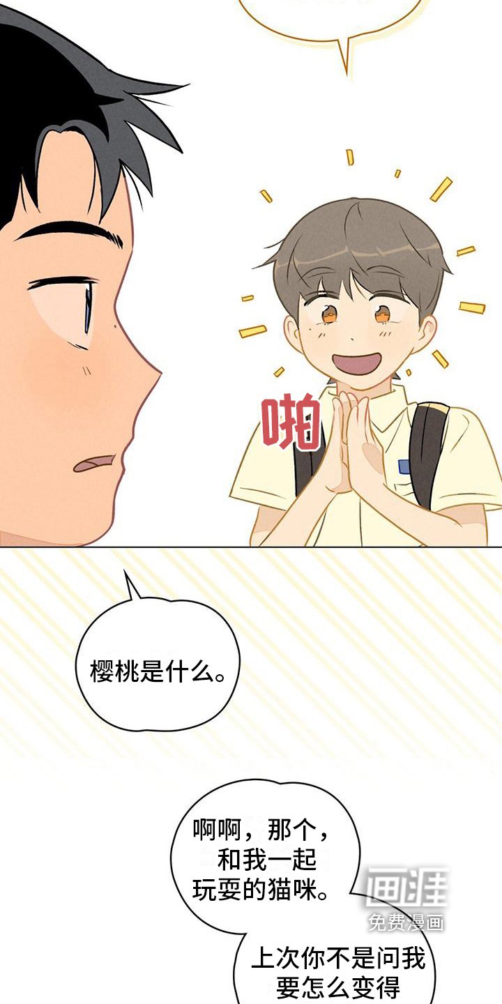 第13章：请教