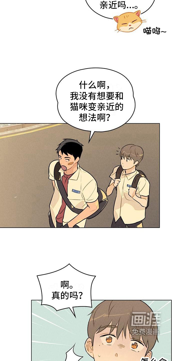 第13章：请教