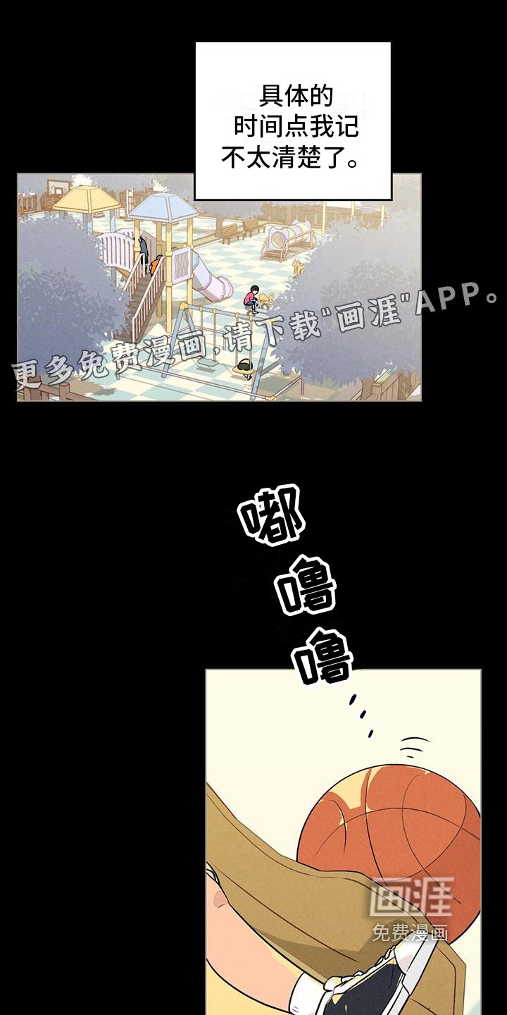 第14章：篮球的记忆