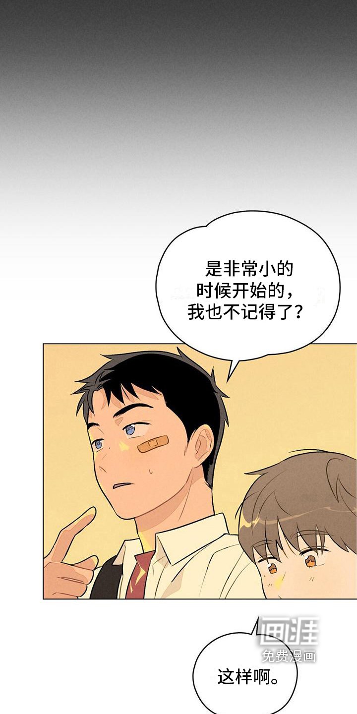 第14章：篮球的记忆