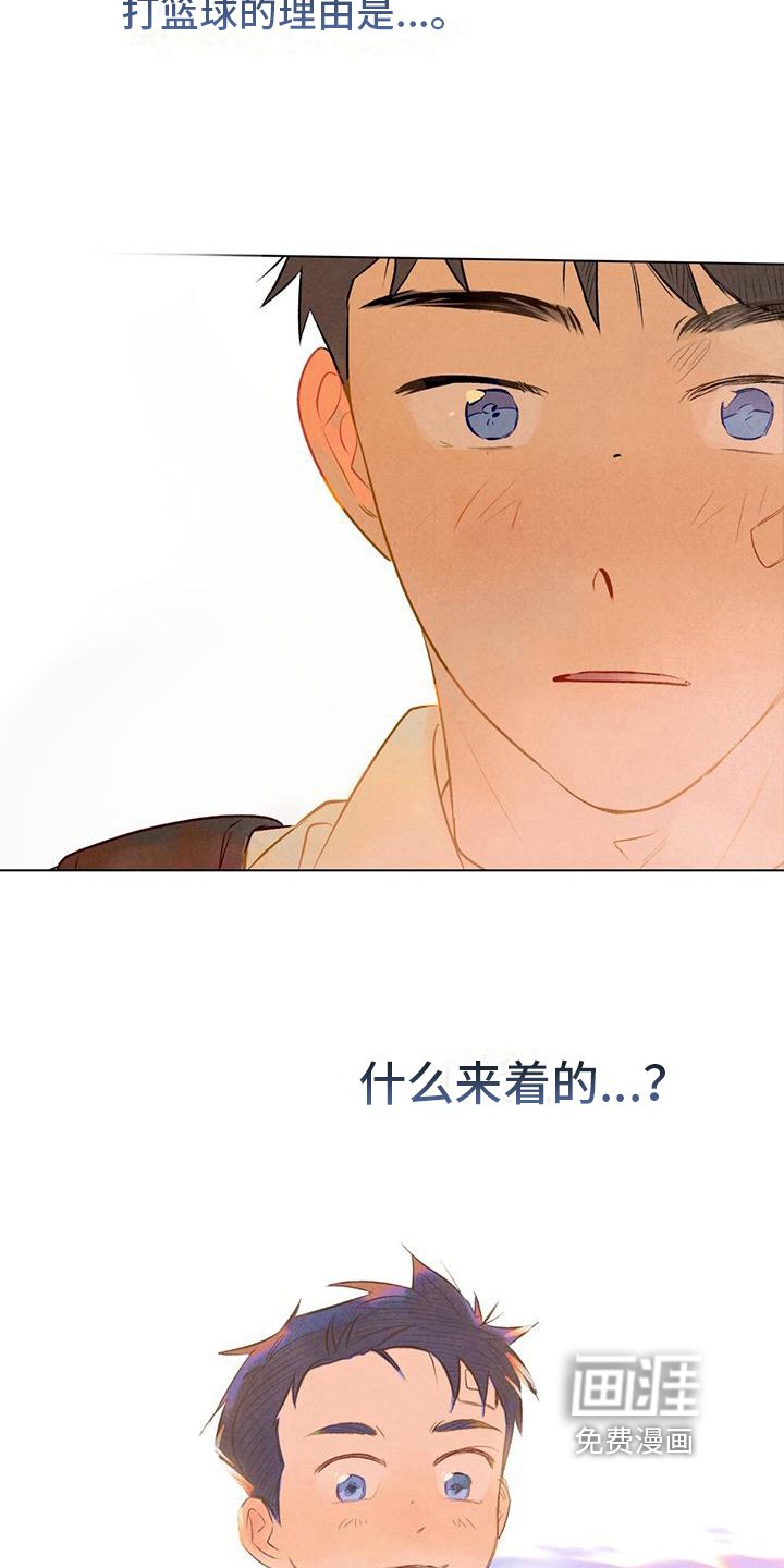 第14章：篮球的记忆