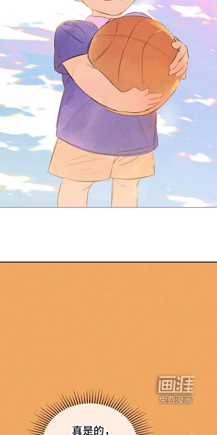 第14章：篮球的记忆
