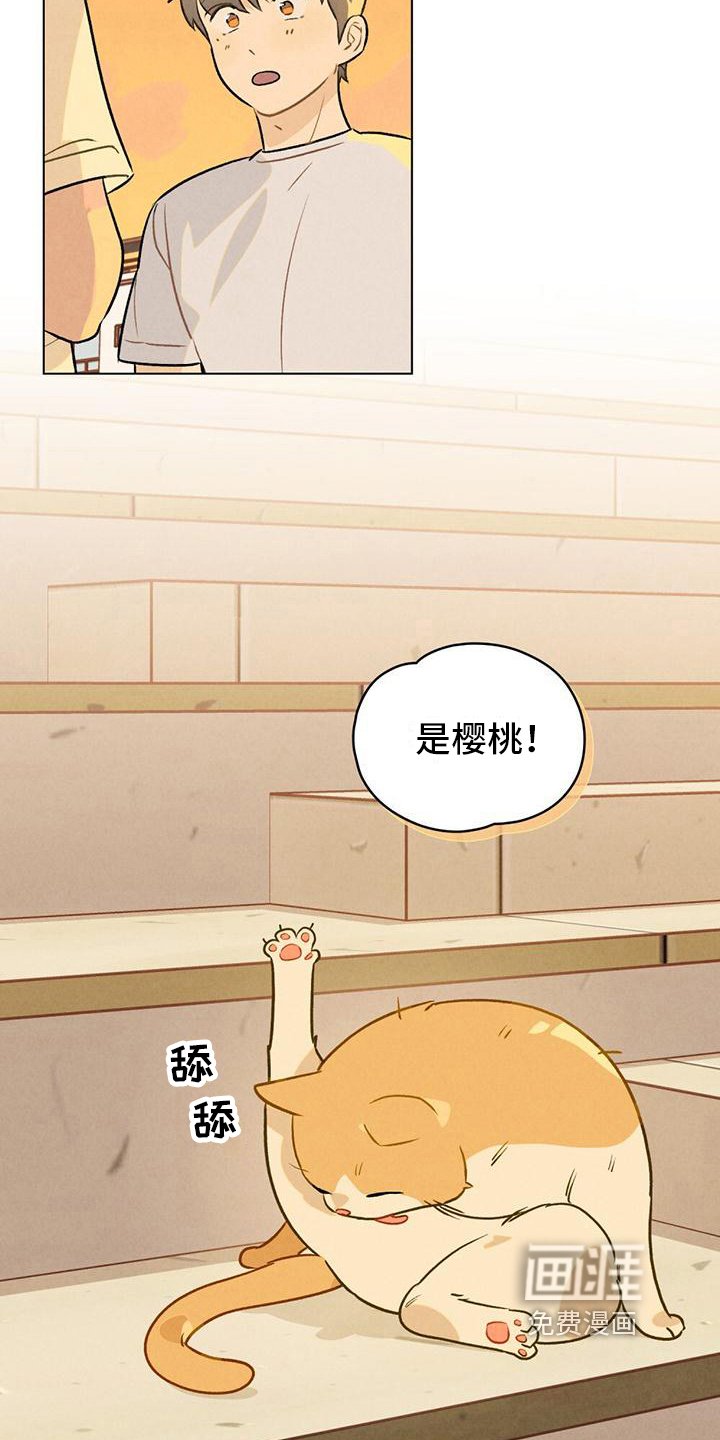 第15章：名字