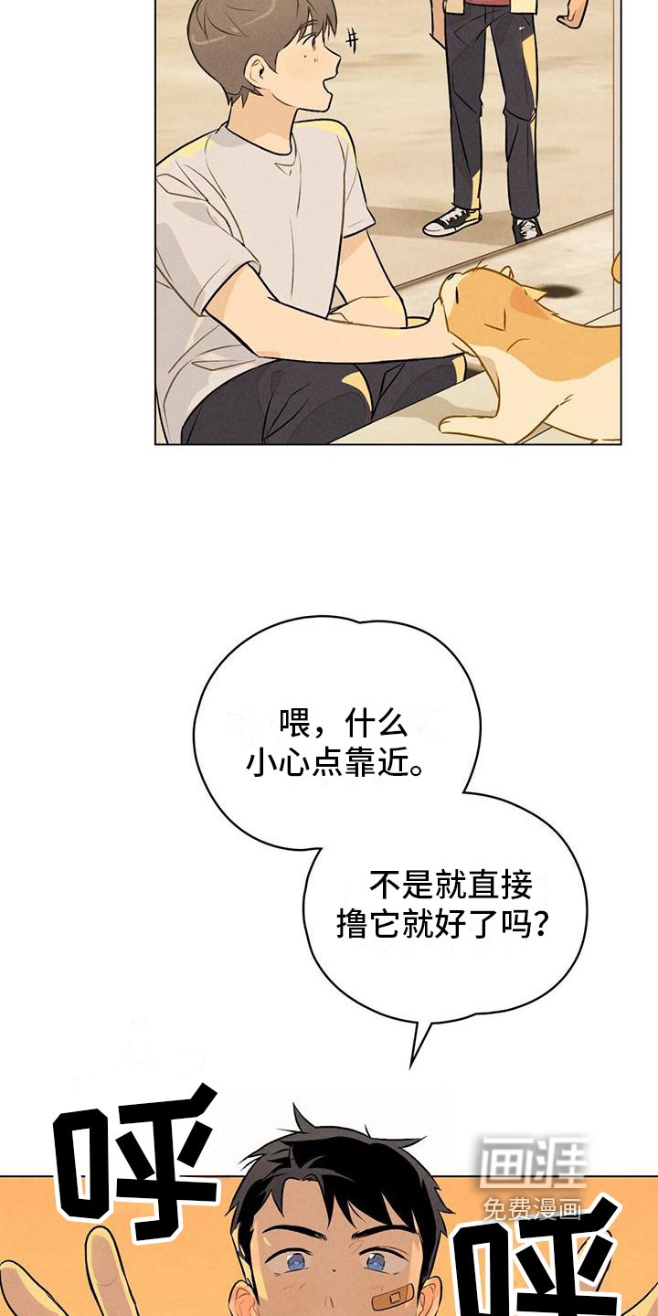 第15章：名字