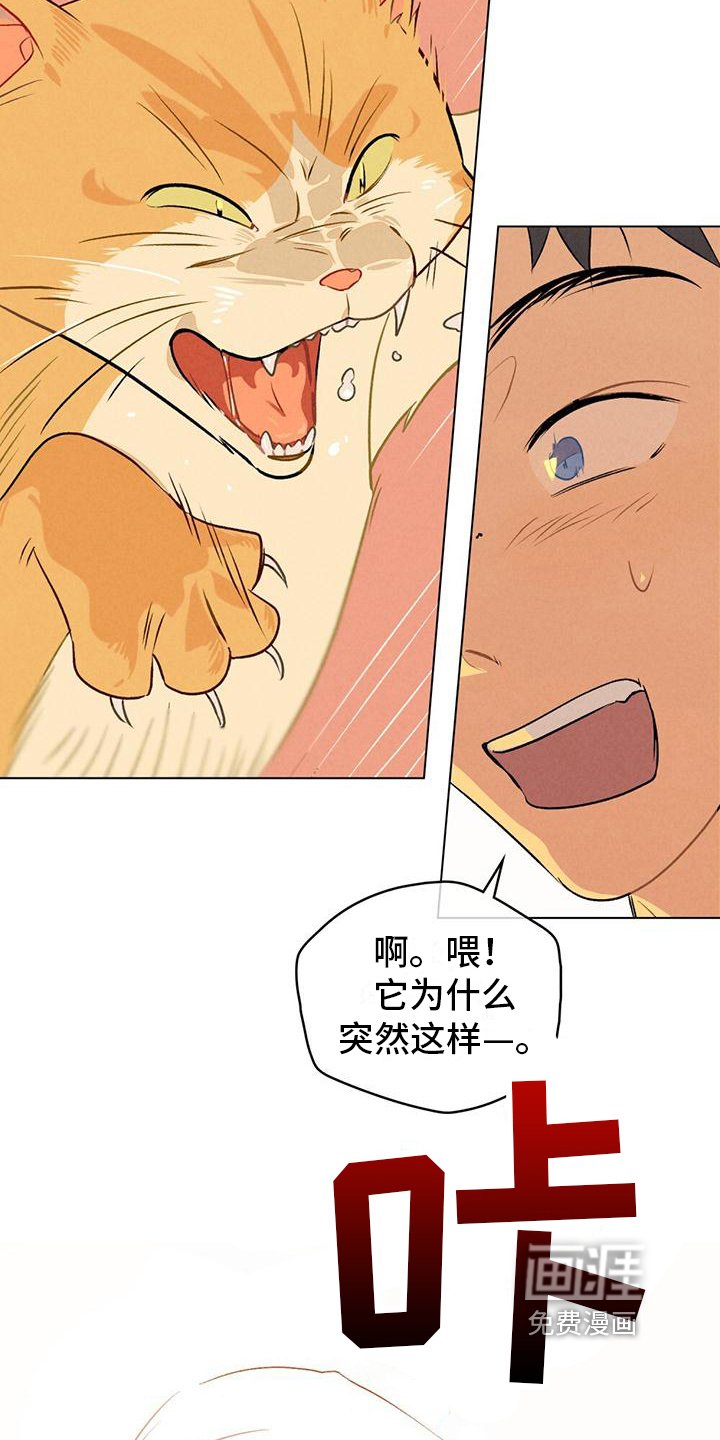 第15章：名字
