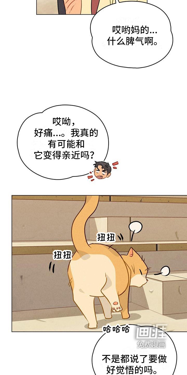 第15章：名字