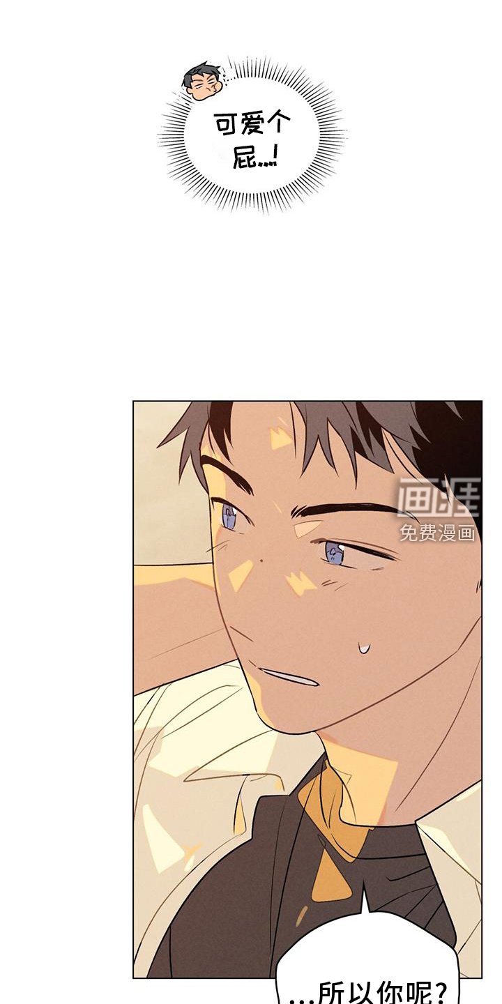 第22章：喜欢你