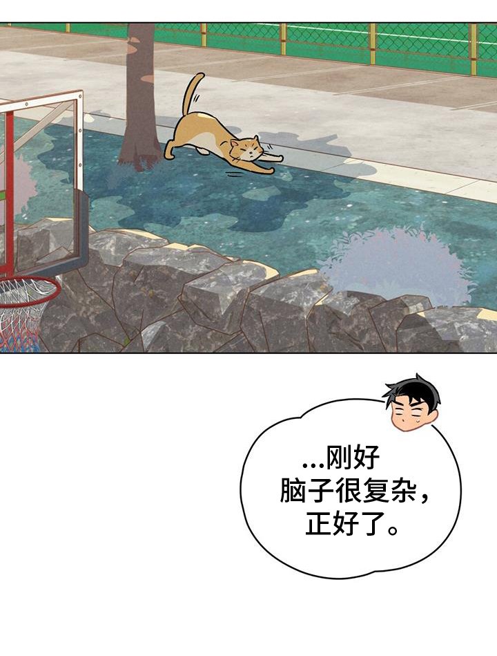 第26章：方法