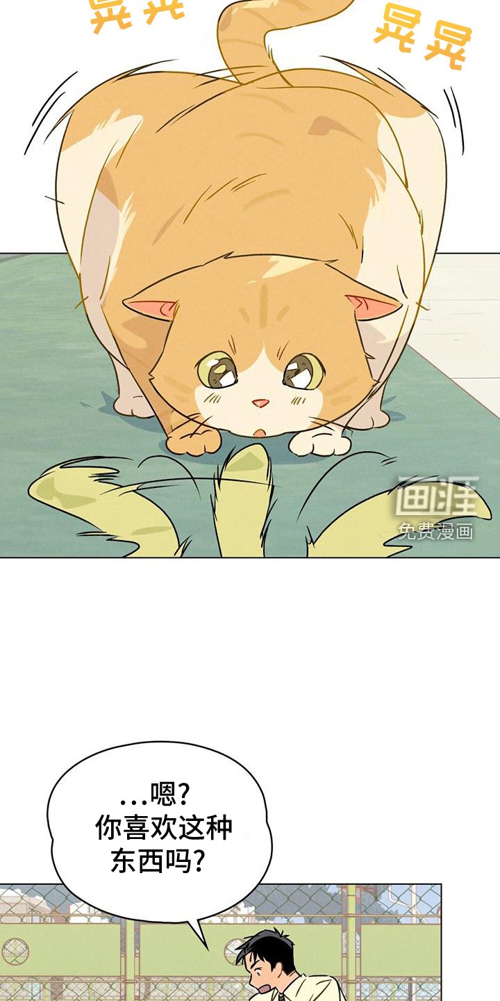 第26章：方法