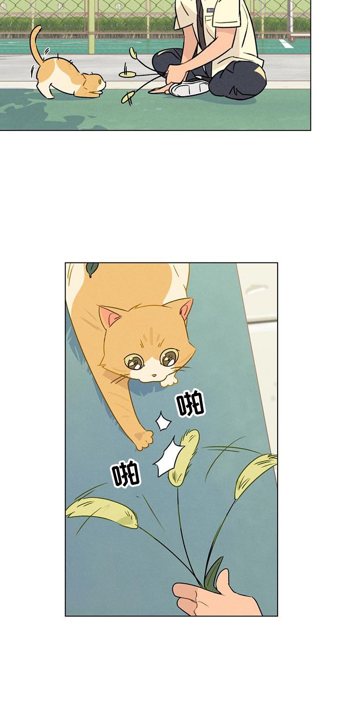 第26章：方法
