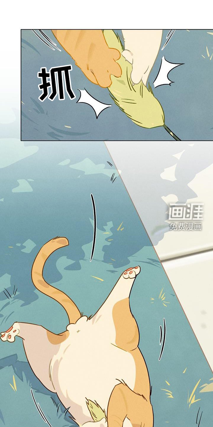 第26章：方法