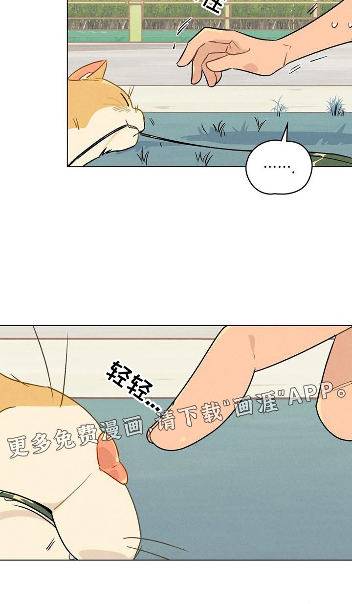 第26章：方法