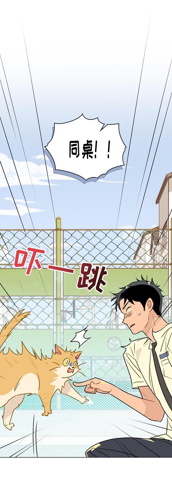 第27章：证明