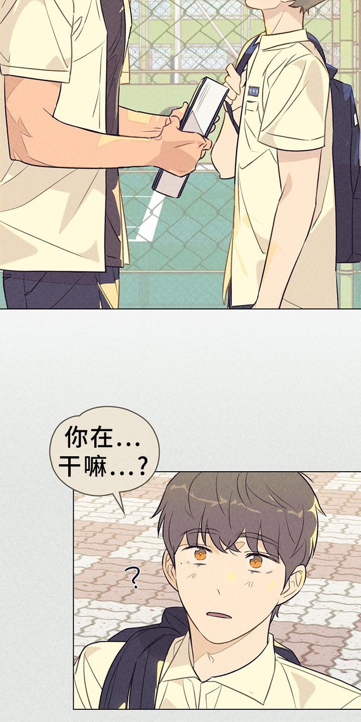 第28章：窃喜