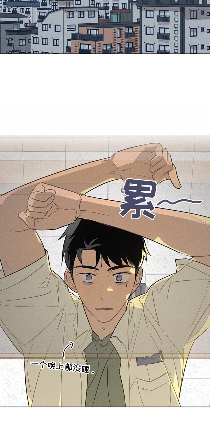 第28章：窃喜