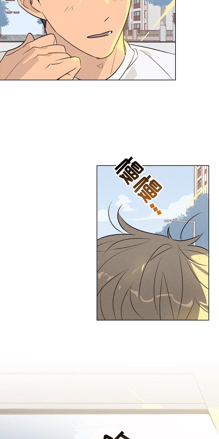 第29章：出现