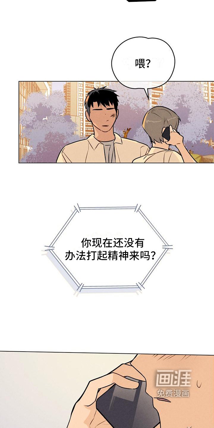 第4章：关注