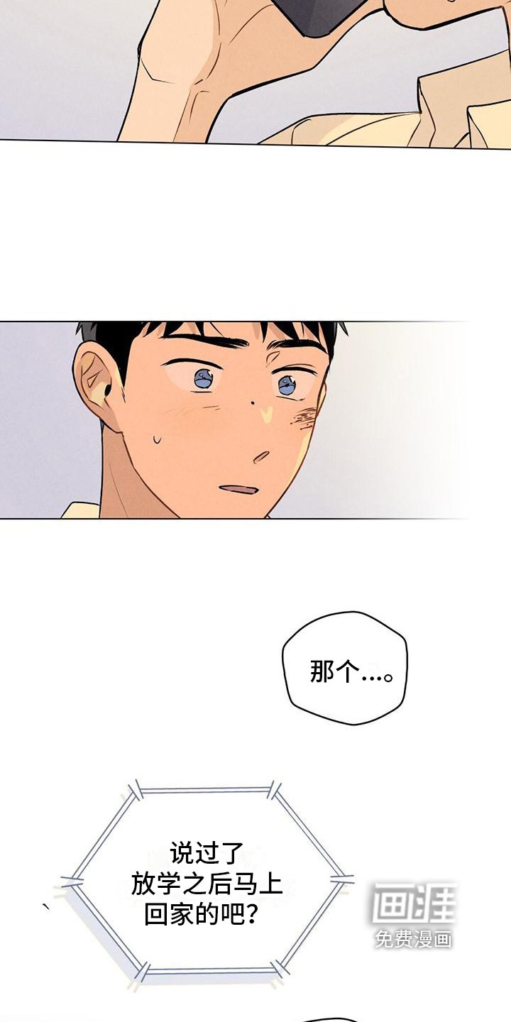 第4章：关注