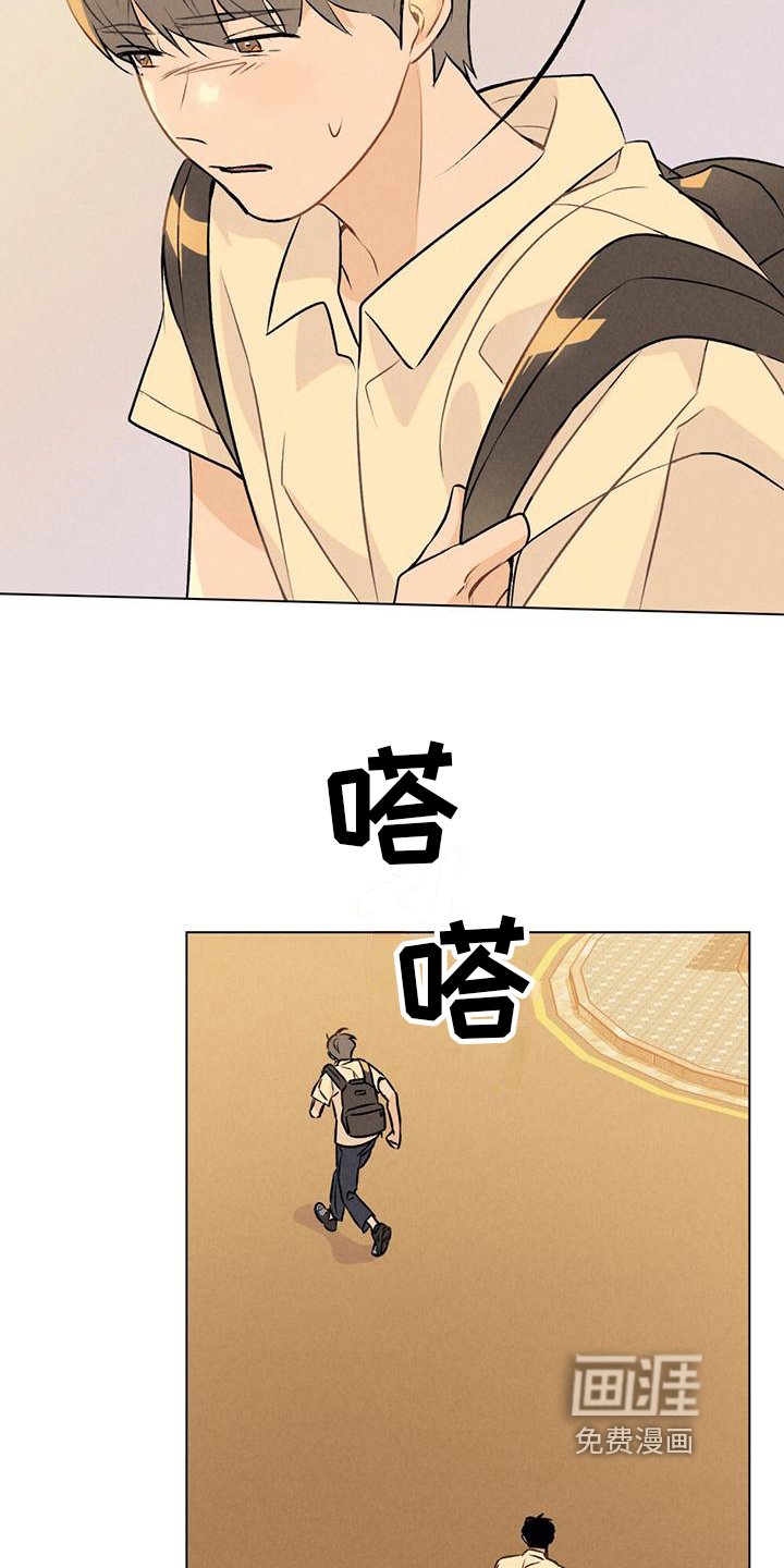 第4章：关注