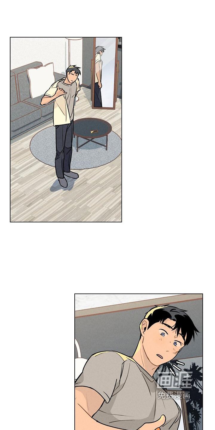 第4章：关注