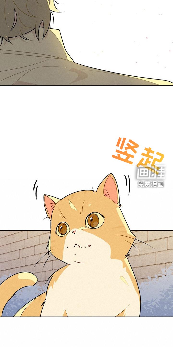 第41章：谢谢你