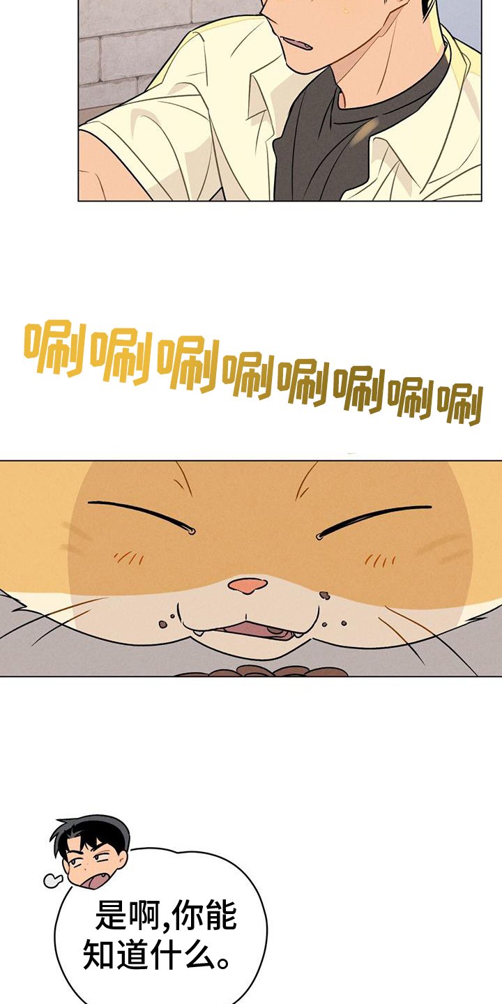 第41章：谢谢你