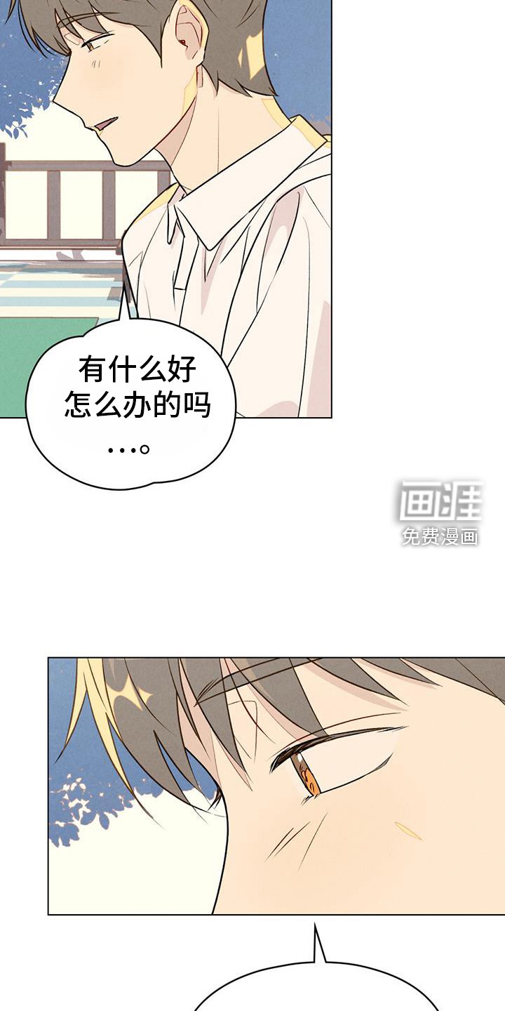 第43章：只有我能做的事