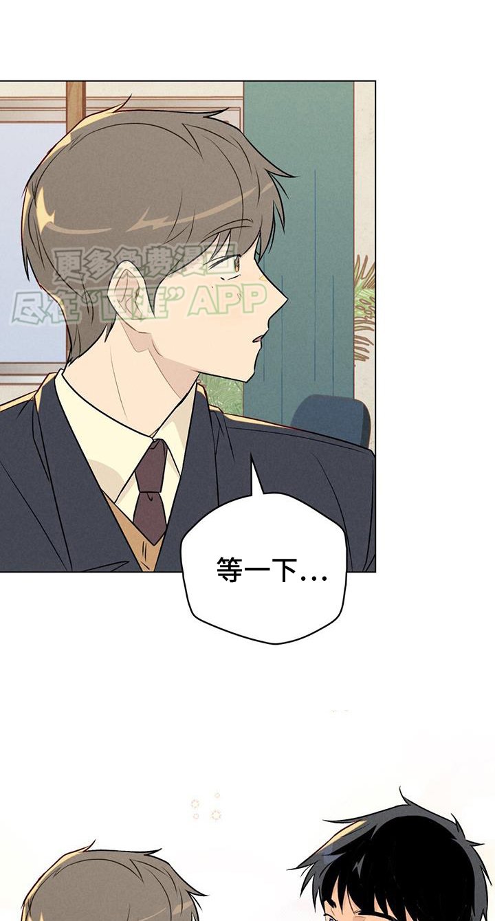 第48章：新的开始【完结】