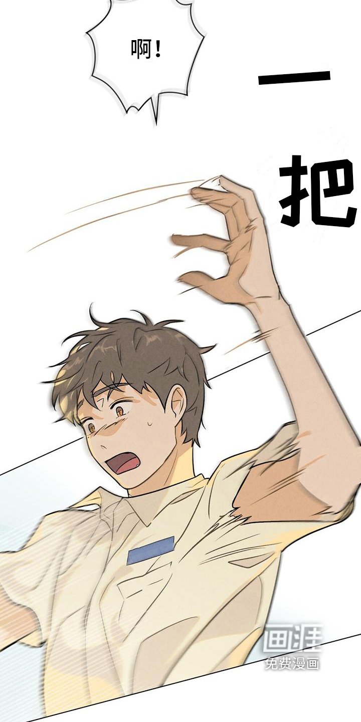 第6章：做卫生