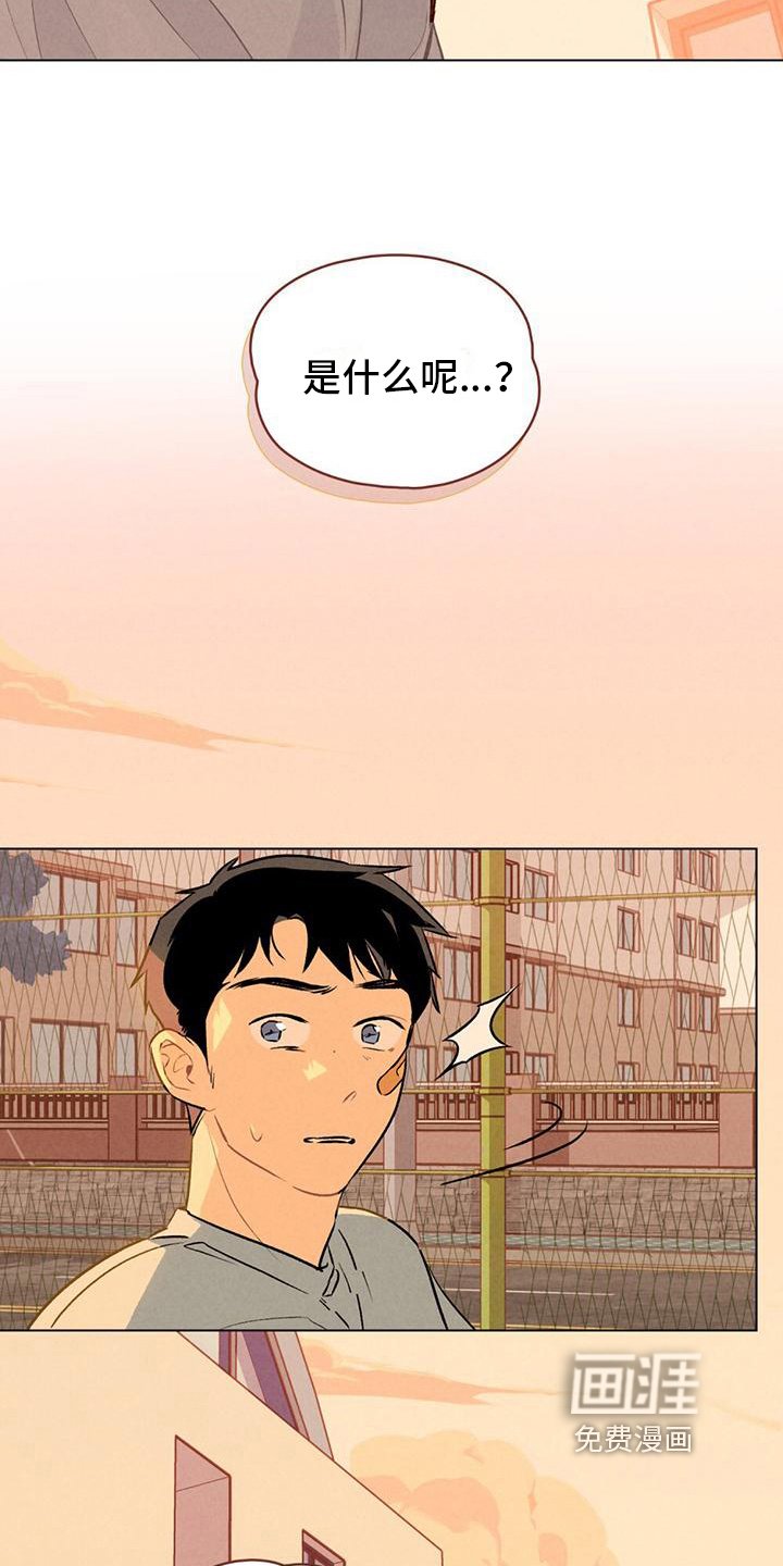 第8章：猜测