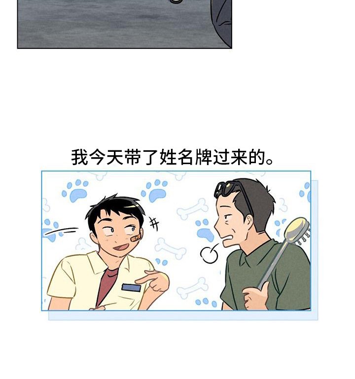 第8章：猜测