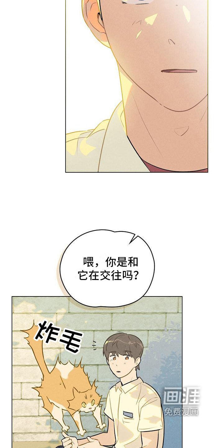 第9章：想要确认
