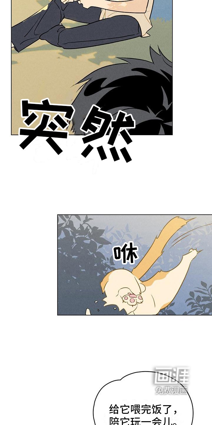第9章：想要确认