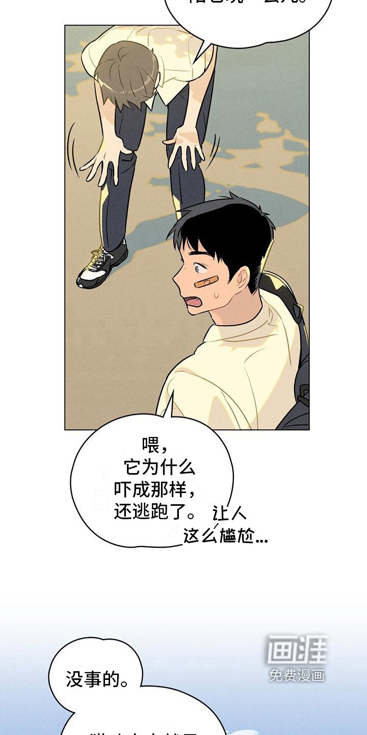 第9章：想要确认