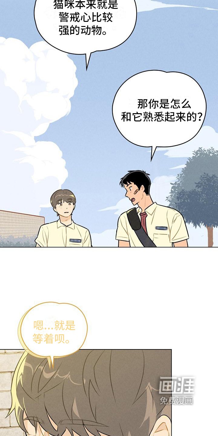 第9章：想要确认