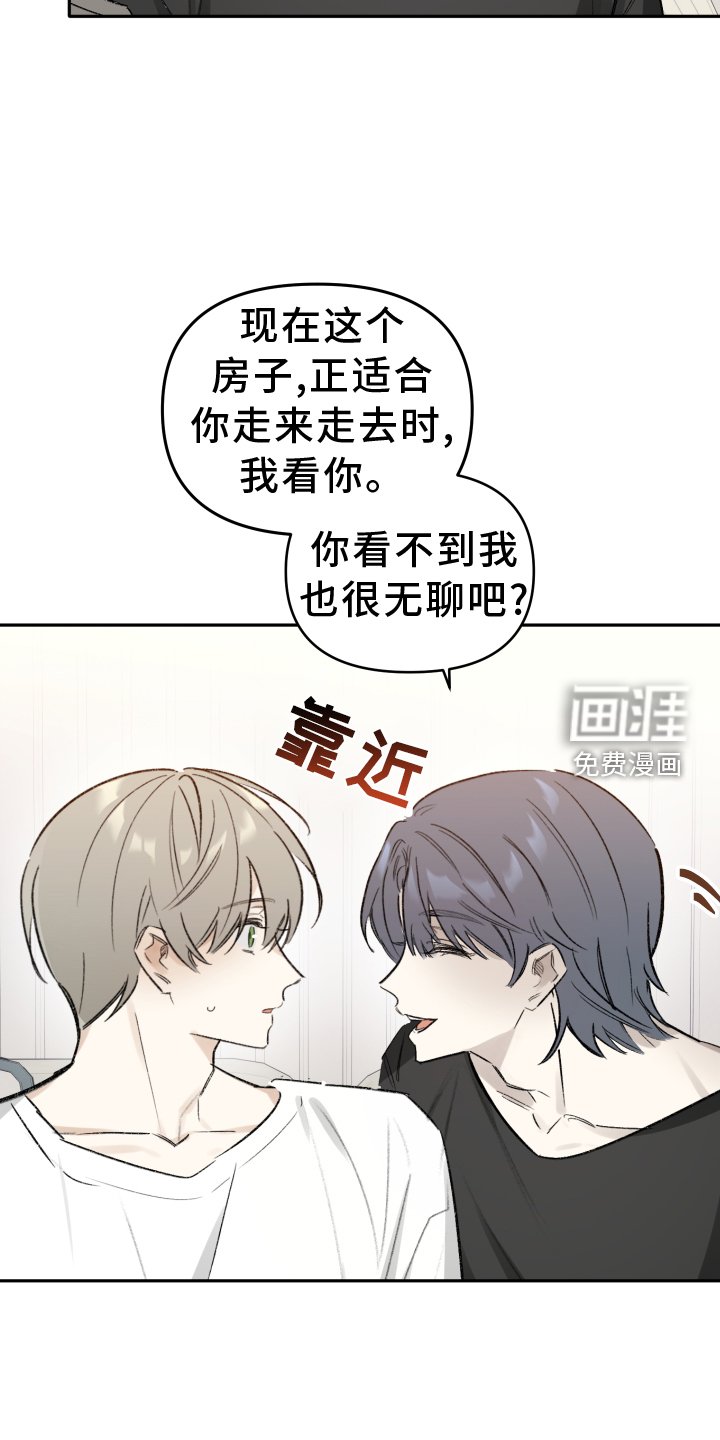 第10章：驾照