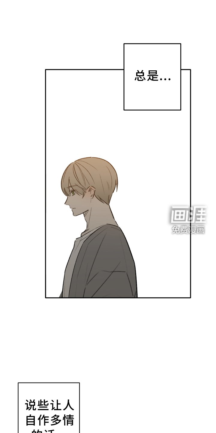 第10章：驾照