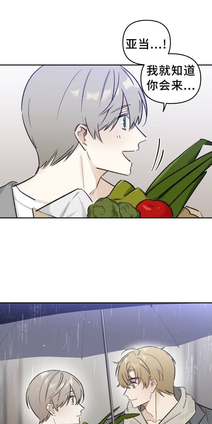 第11章：雨伞