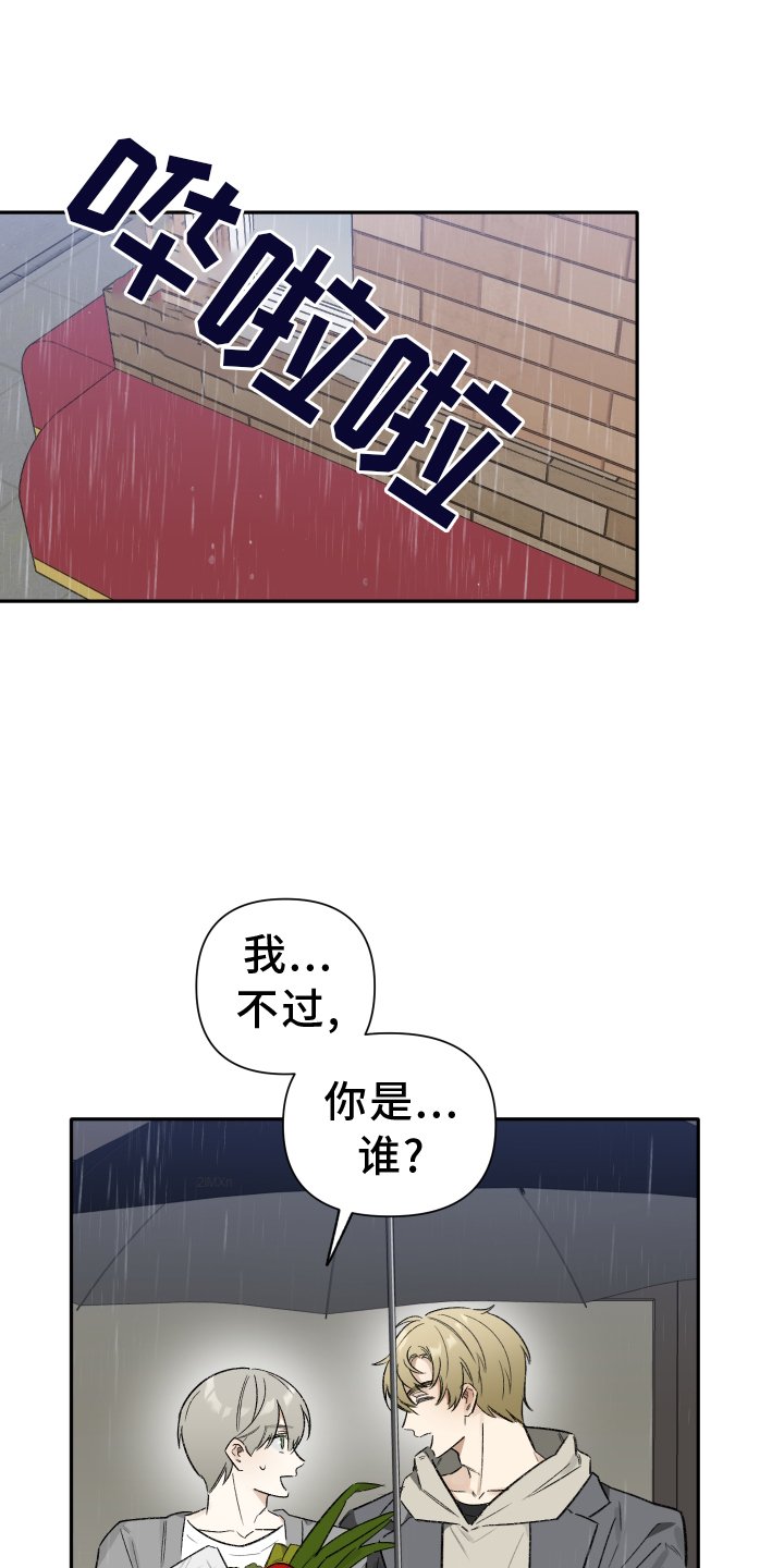 第12章：目击