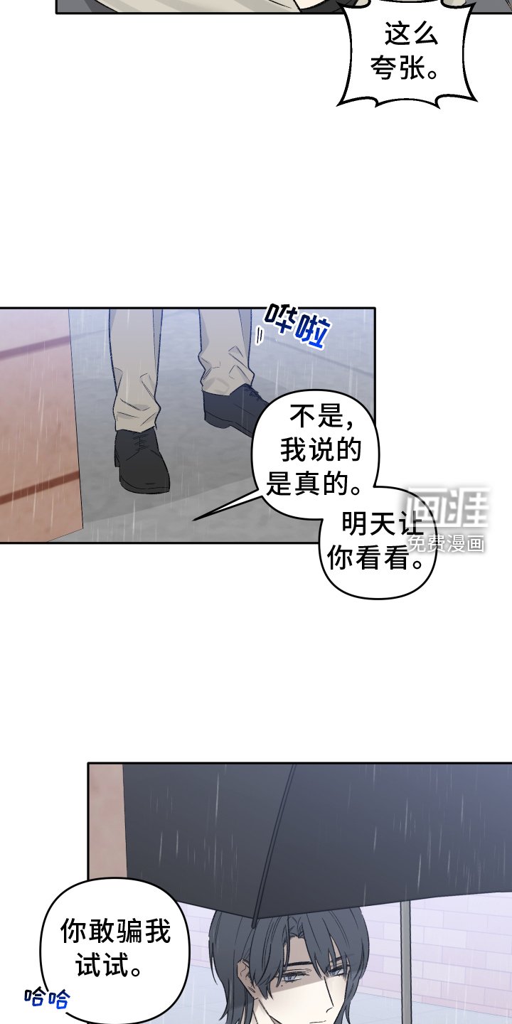 第12章：目击