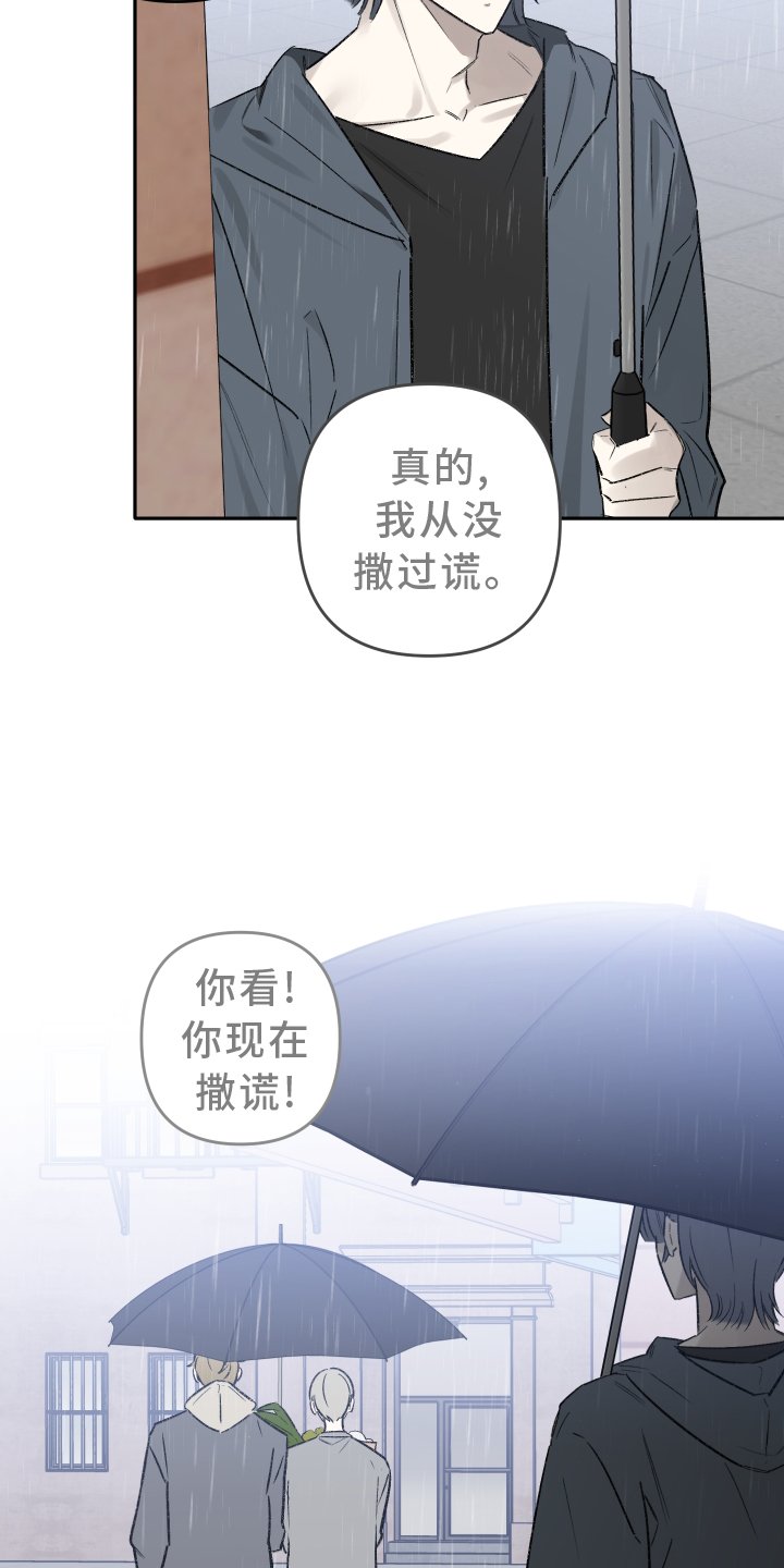 第12章：目击