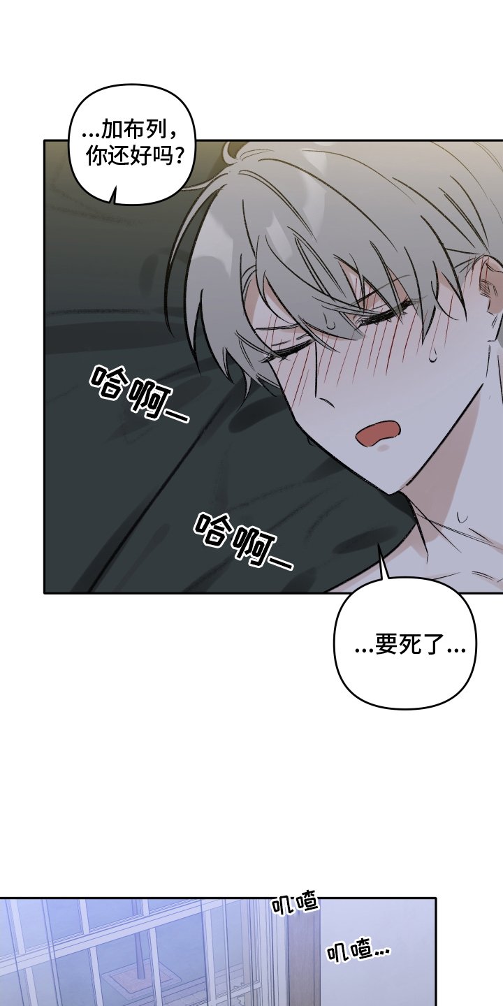 第14章：不要忘记我