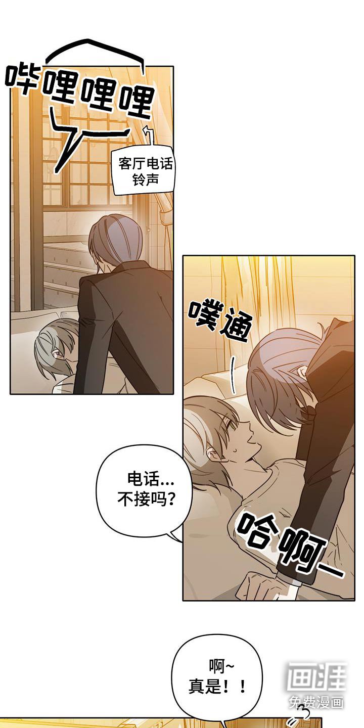 第41章：【第二季】突然出现