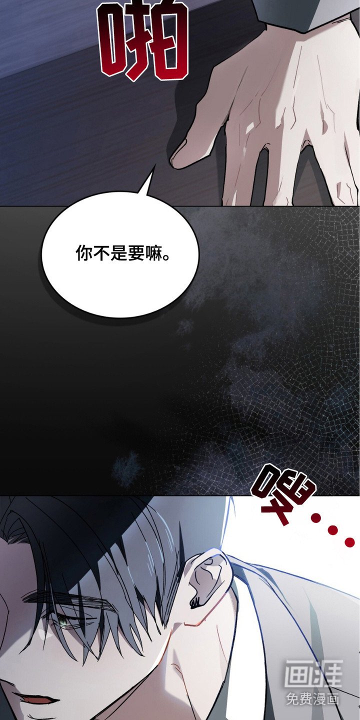 第10章：选择